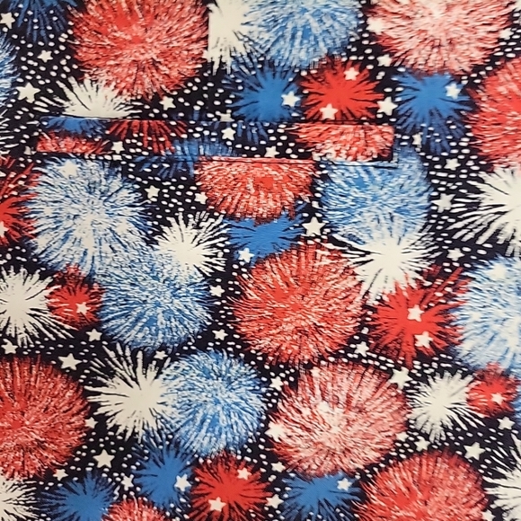 Coral Bay Shorts Stretchy Size 18W Red White Blue EUC - Picture 4 of 11